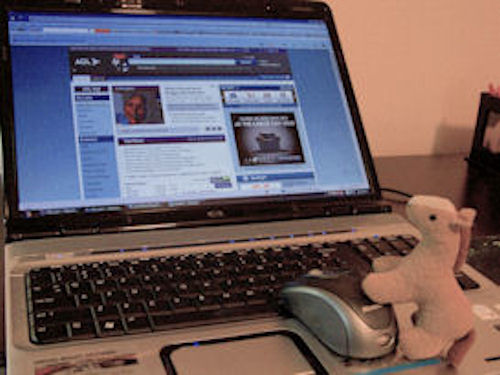 photo of Alvie surfing the web